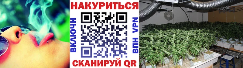 Наркошоп купить Альфа ПВП  КОКАИН  Амфетамин  Каннабис  МЕФ  Каргополь