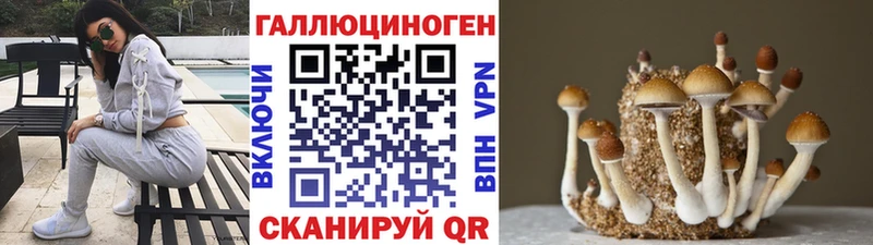 Псилоцибиновые грибы Psilocybine cubensis Каргополь