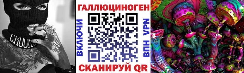 Купить где  Каргополь  Псилоцибиновые грибы Psilocybe 